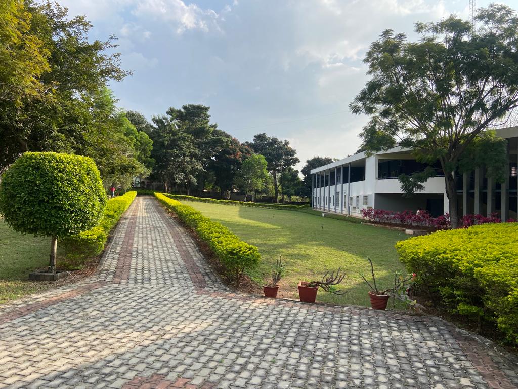The lush greenery of the campus